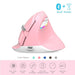 Mini Bt + usb Wireless Silent Click Vertical Mouse