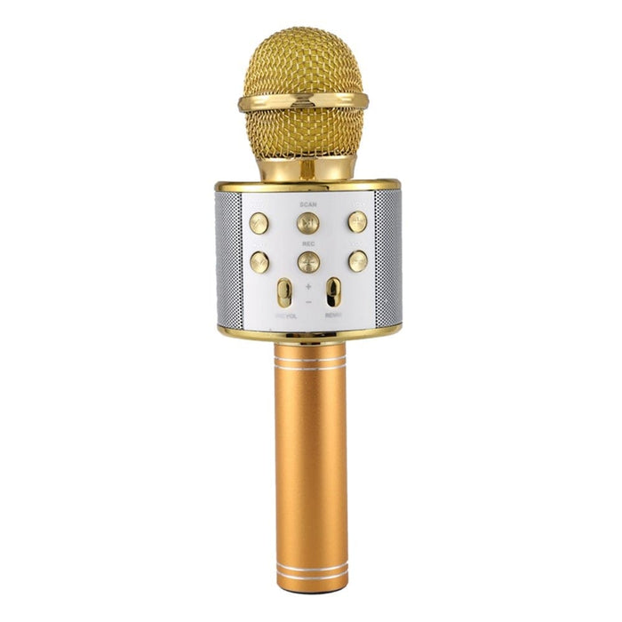 Portable Wireless Karaoke Microphone- Usb Charging