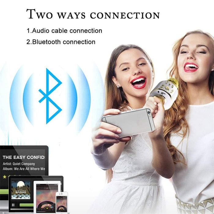 Portable Wireless Karaoke Microphone- Usb Charging