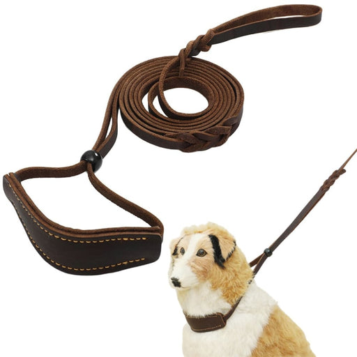 Real Leather Dog Leash With Collar