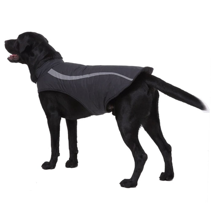 Reflective Waterproof Warm Jacket For Dog