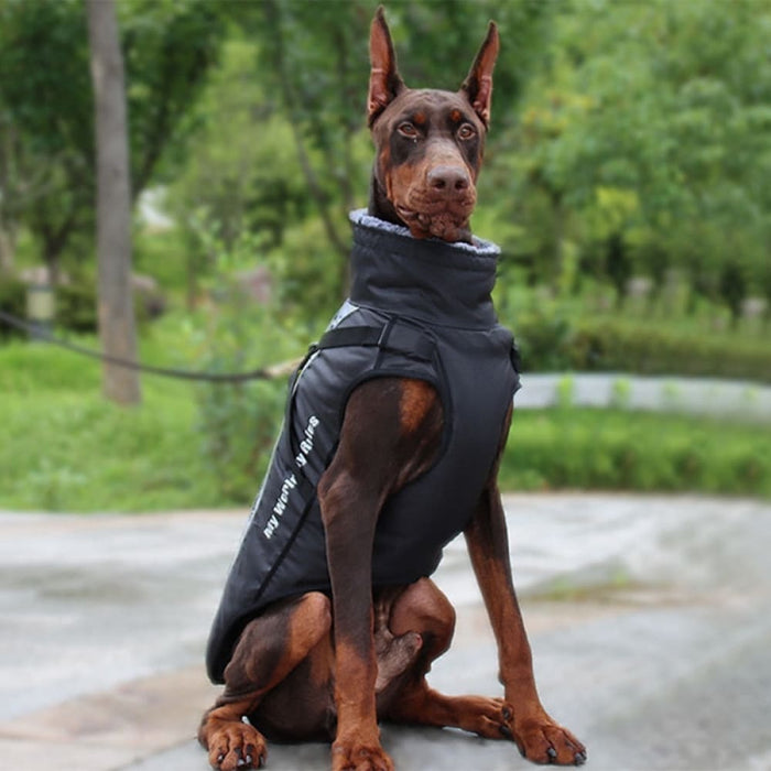 Reflective Windproof Coat For Dog