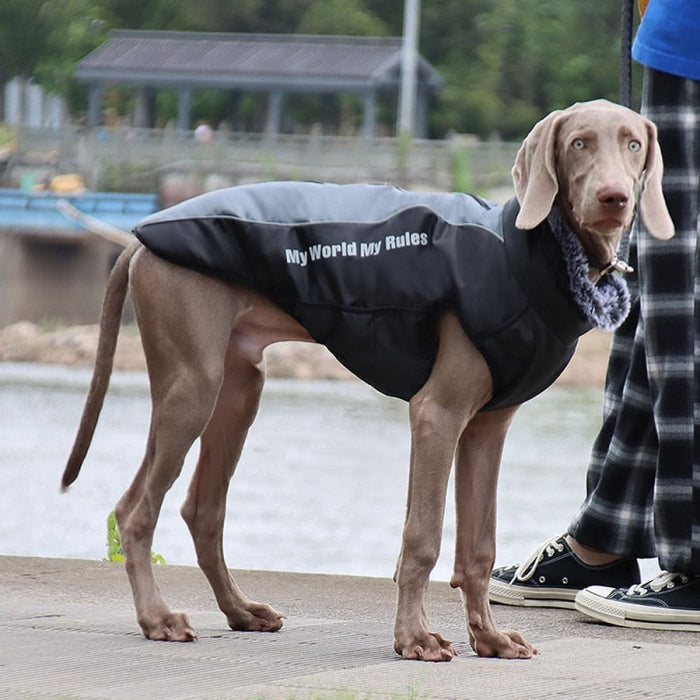 Reflective Windproof Coat For Dog