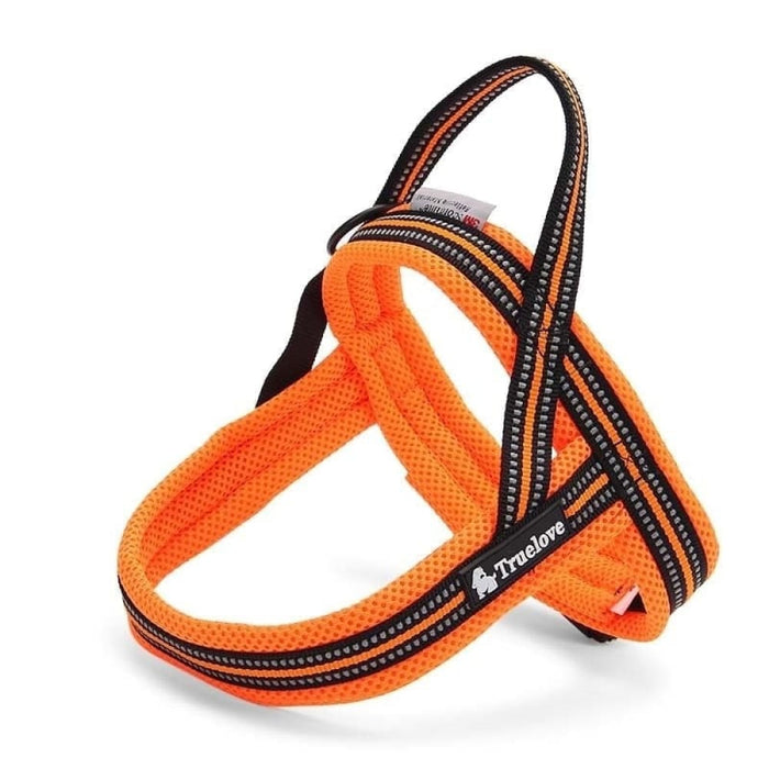 Soft Mesh Padded Nylon Dog Harness