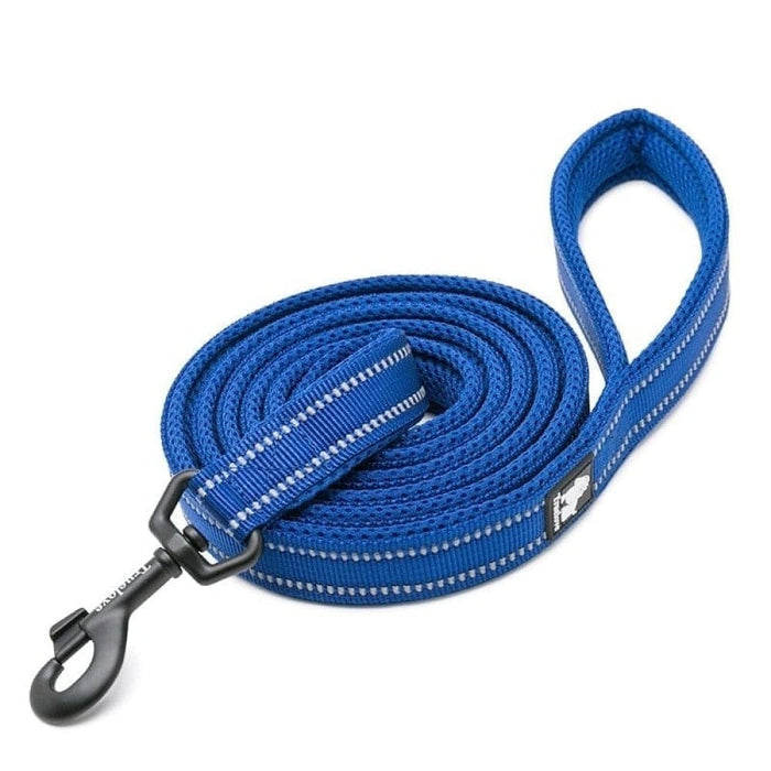 Soft Reflective Nylon Leash In Harness And Collar