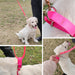 Waterproof Dog Collar With Handle