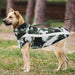 Waterproof & Reflective Winter Jacket For Puppy