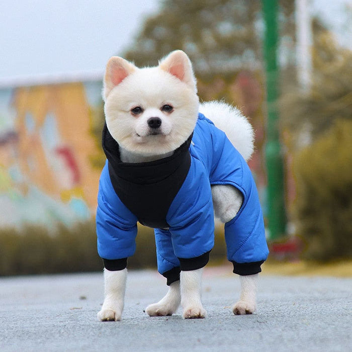 Waterproof & Windproof Warm Cotton Jacket For Dog